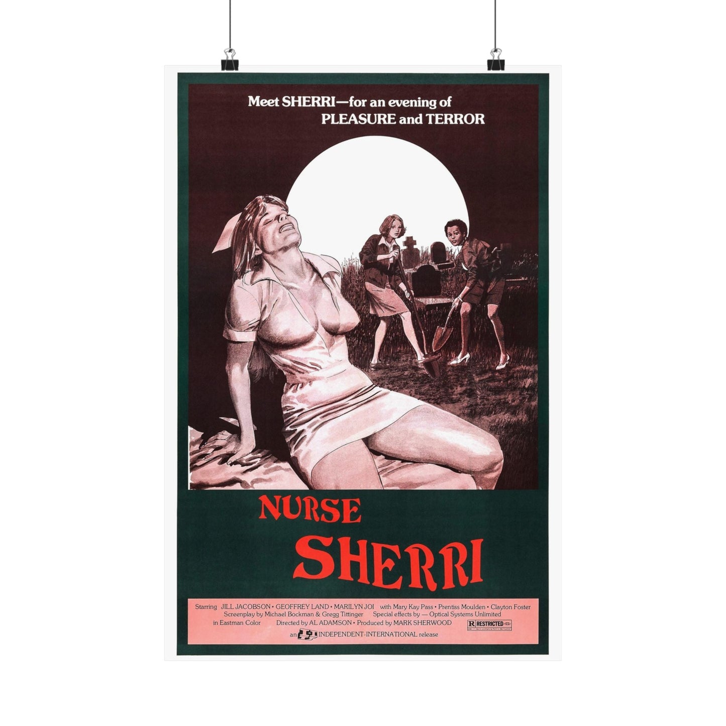 NURSE SHERRI 1977 - Paper Movie Poster-16″ x 24″-The Sticker Space