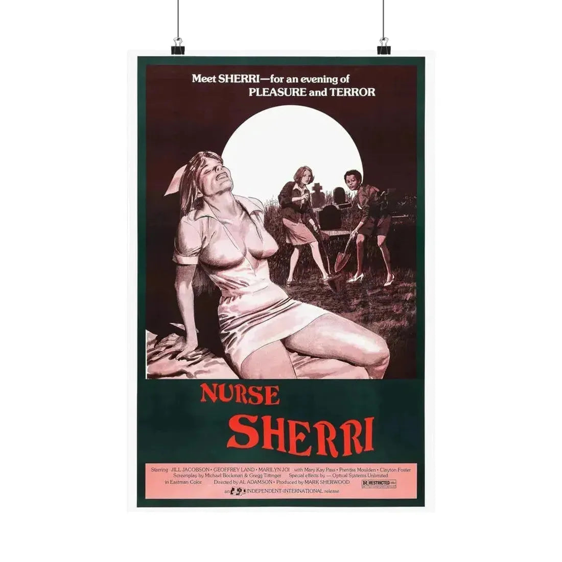 NURSE SHERRI 1977 - Paper Movie Poster 16″ x 24″ Matte - The Sticker Space