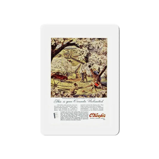 O'Keefe's ad, Walt Coburn's Western, June 1950 (Magazine Illustration) Refrigerator Magnet 6 Inch - The Sticker Space