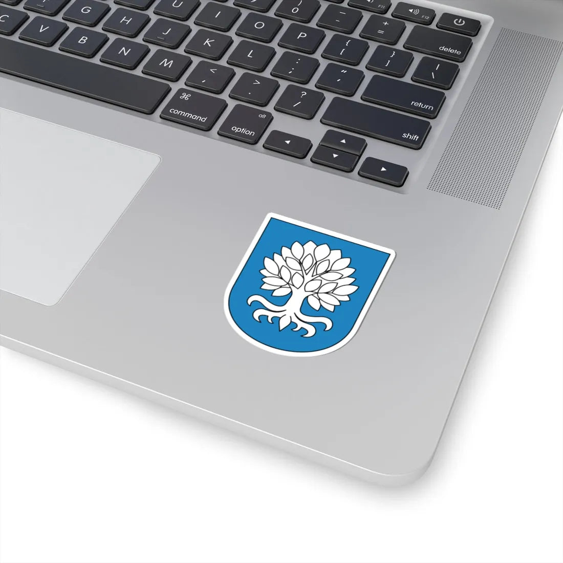 Oberuster coat of arms (Switzerland) (Coat of Arms) STICKER Vinyl Kiss-Cut Decal - The Sticker Space