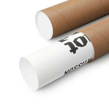 OSS 117 IS NOT DEAD 1957 - Paper Movie Poster - The Sticker Space