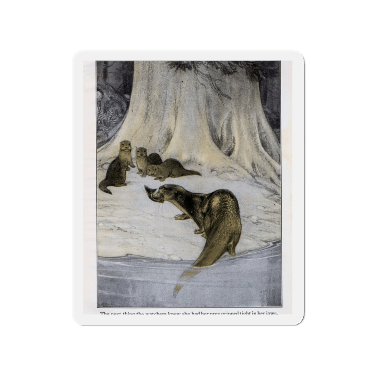 Otter feeds her young (Magazine Illustration) Refrigerator Magnet-2" x 2"-The Sticker Space