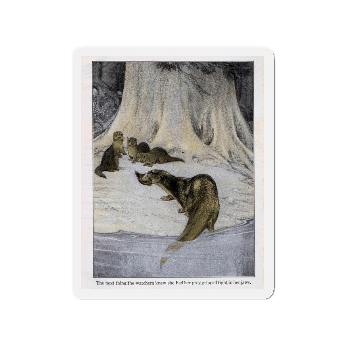 Otter feeds her young (Magazine Illustration) Refrigerator Magnet-3" x 3"-The Sticker Space