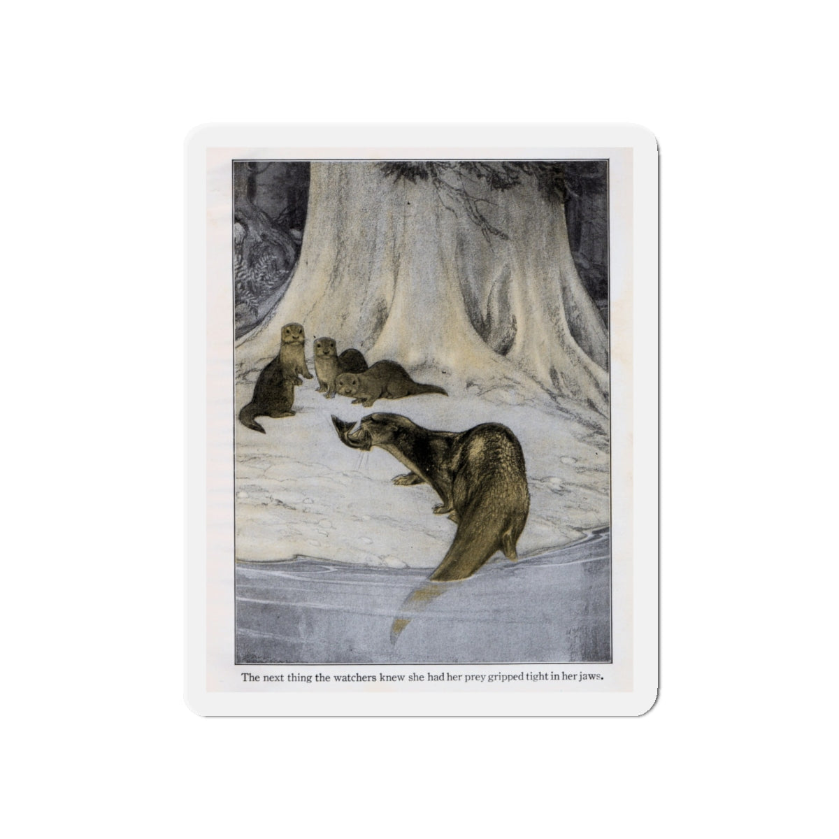 Otter feeds her young (Magazine Illustration) Refrigerator Magnet-5" x 5"-The Sticker Space