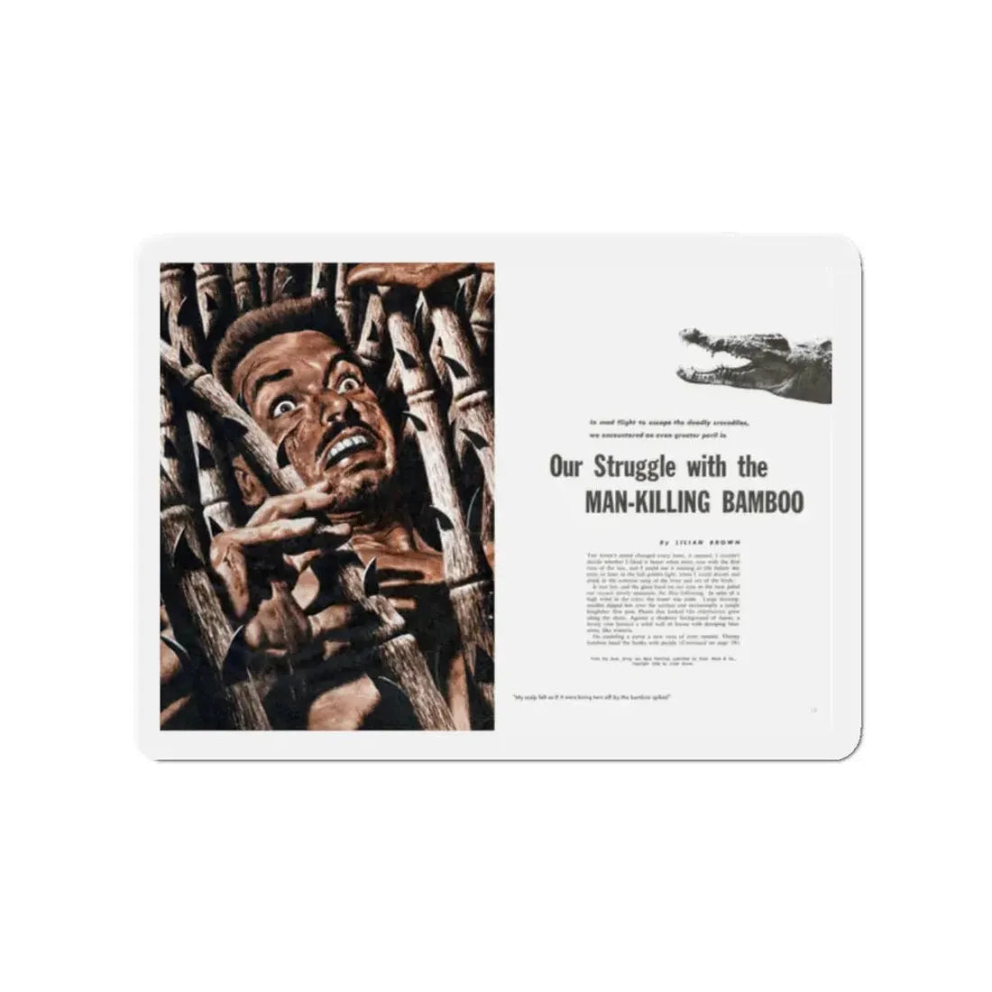 Our Struggle with the Man-Killing Bamboo, Fury, December 1957 (Magazine Illustration) Refrigerator Magnet 2 Inch - The Sticker Space