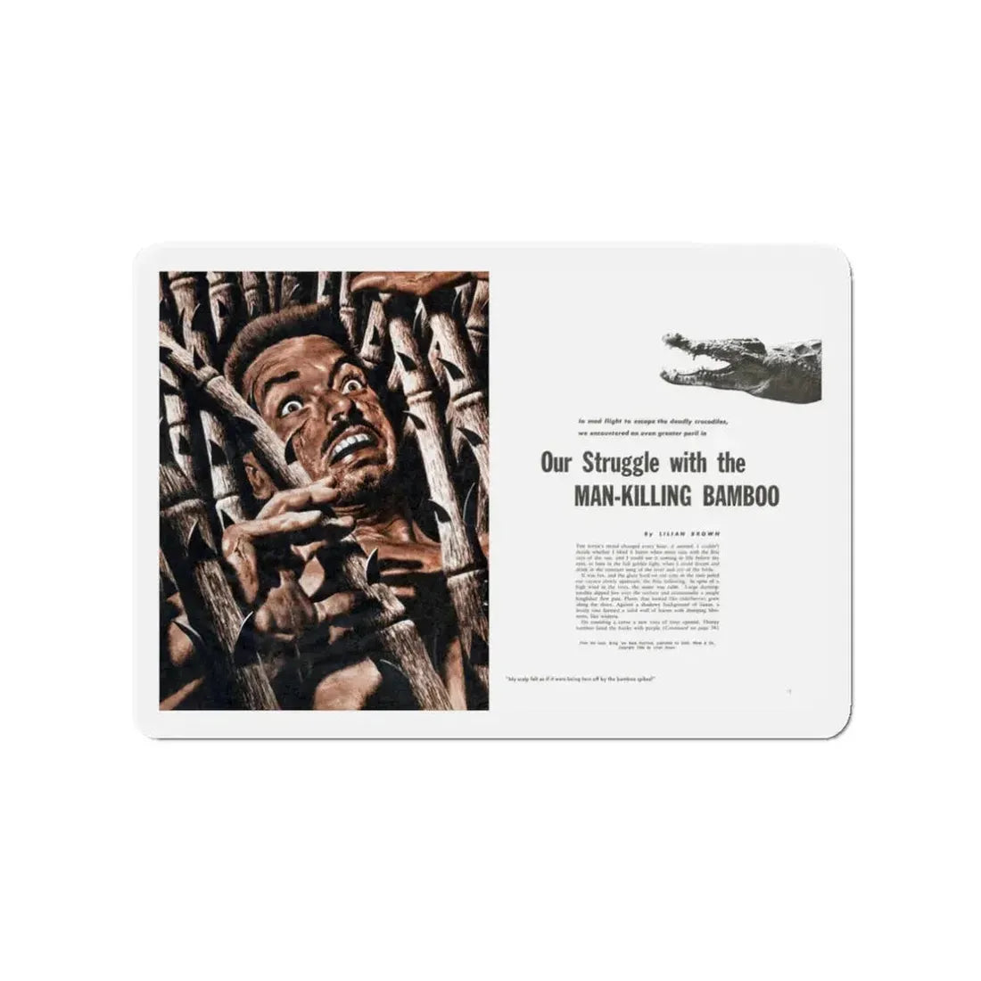 Our Struggle with the Man-Killing Bamboo, Fury, December 1957 (Magazine Illustration) Refrigerator Magnet 3 Inch - The Sticker Space