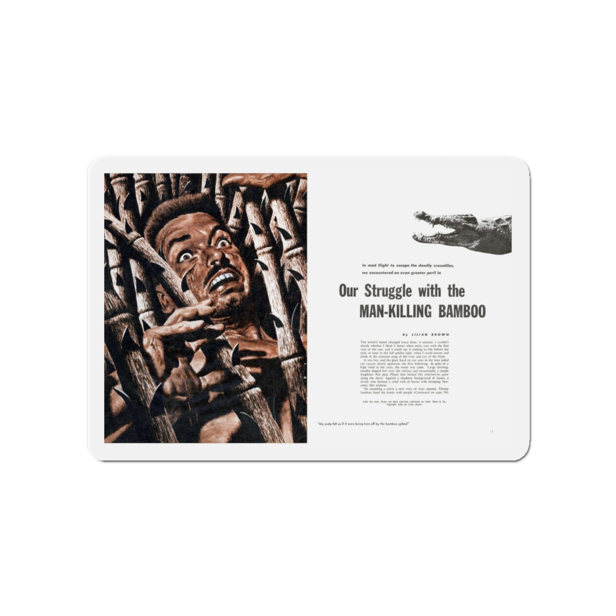 Our Struggle with the Man-Killing Bamboo, Fury, December 1957 (Magazine Illustration) Refrigerator Magnet-4" x 4"-The Sticker Space