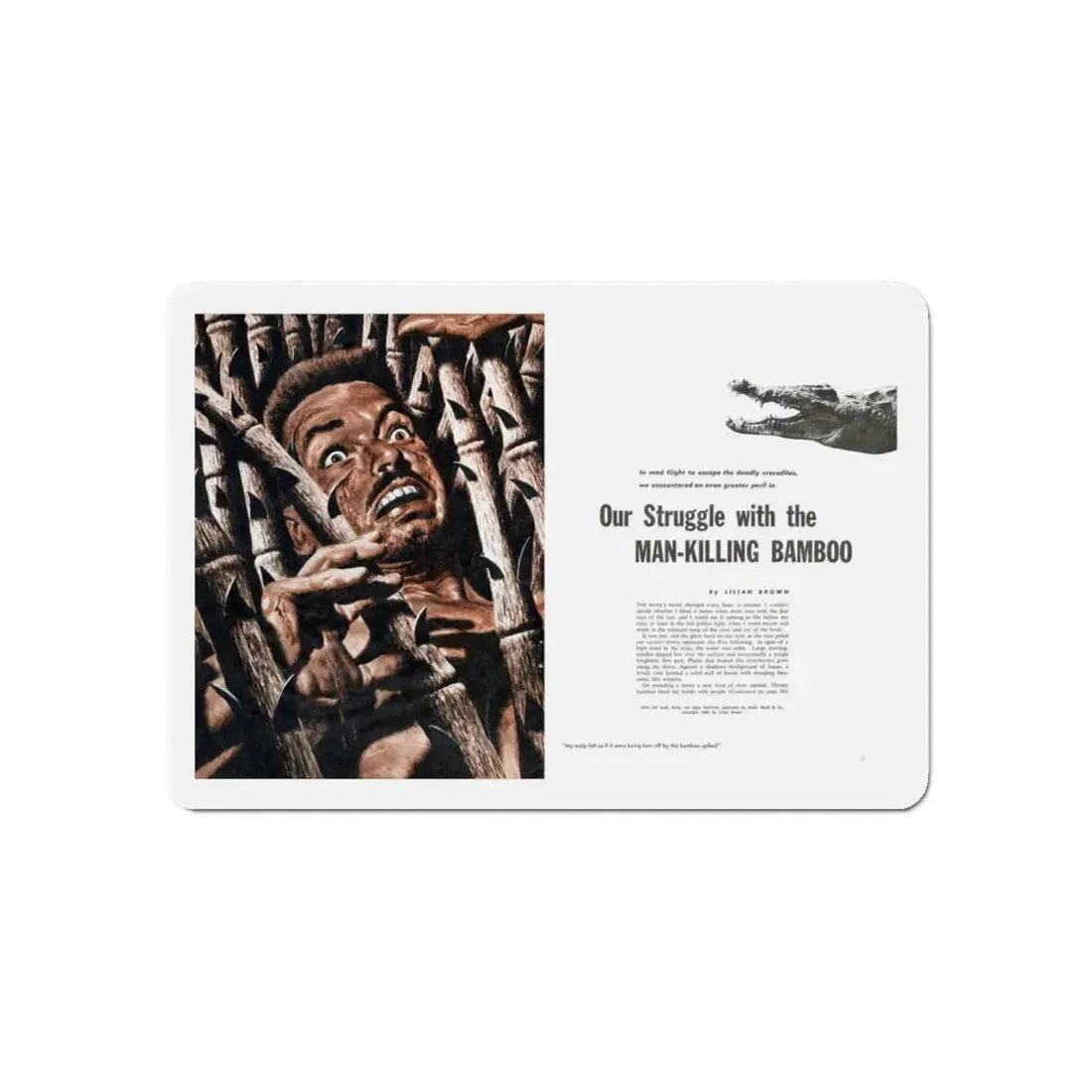 Our Struggle with the Man-Killing Bamboo, Fury, December 1957 (Magazine Illustration) Refrigerator Magnet 6 Inch - The Sticker Space