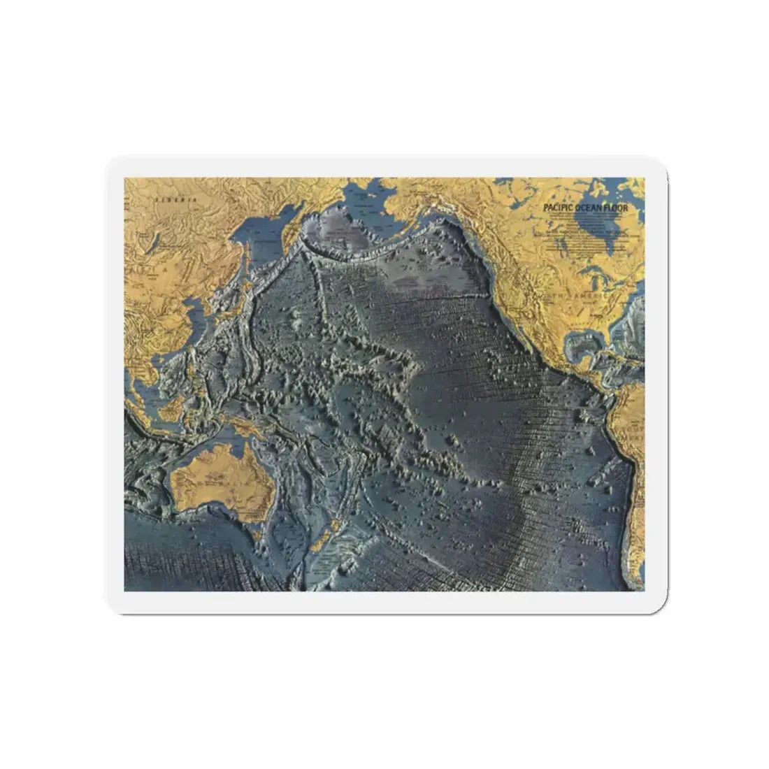 Pacific Ocean Floor (1969) (Map) Refrigerator Magnet - The Sticker Space