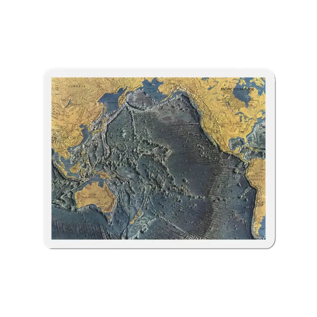 Pacific Ocean Floor (1969) (Map) Refrigerator Magnet - The Sticker Space