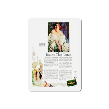 Palmolive ad, Ladies' Home Journal, September 1923 (Magazine Illustration) Refrigerator Magnet - The Sticker Space