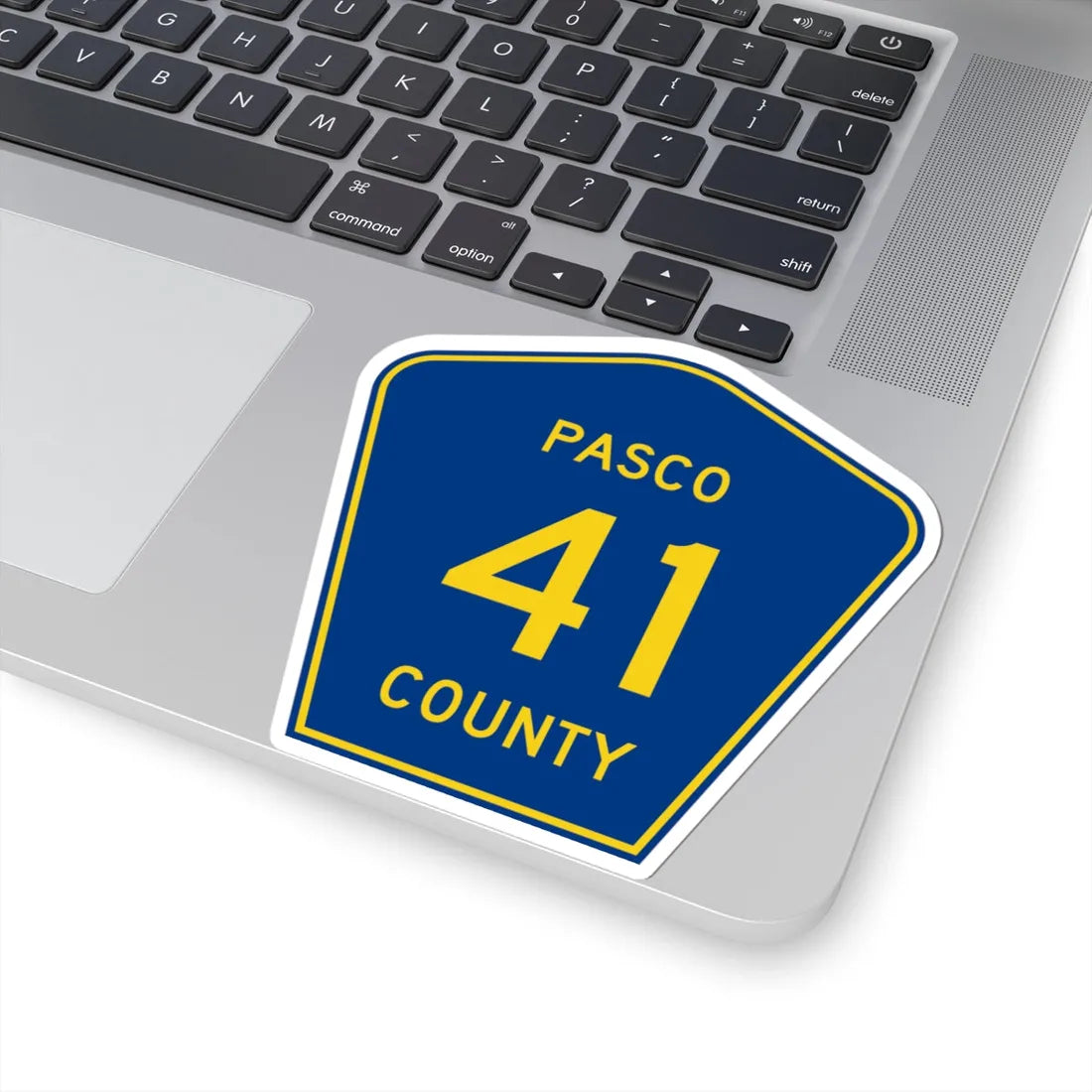 Pasco County 41 (Florida) (Road Sign) STICKER Vinyl Kiss-Cut Decal - The Sticker Space