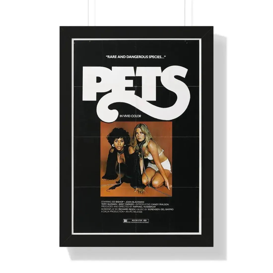 PETS (3) 1974 - Framed Movie Poster 16″ x 24″ Black - The Sticker Space