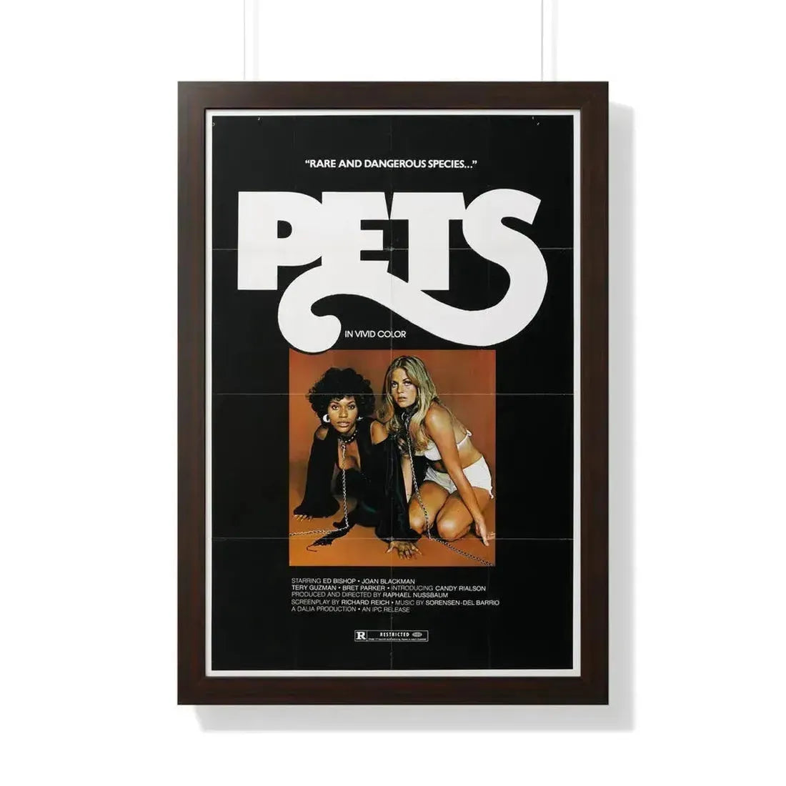 PETS (3) 1974 - Framed Movie Poster 20" x 30" Walnut - The Sticker Space