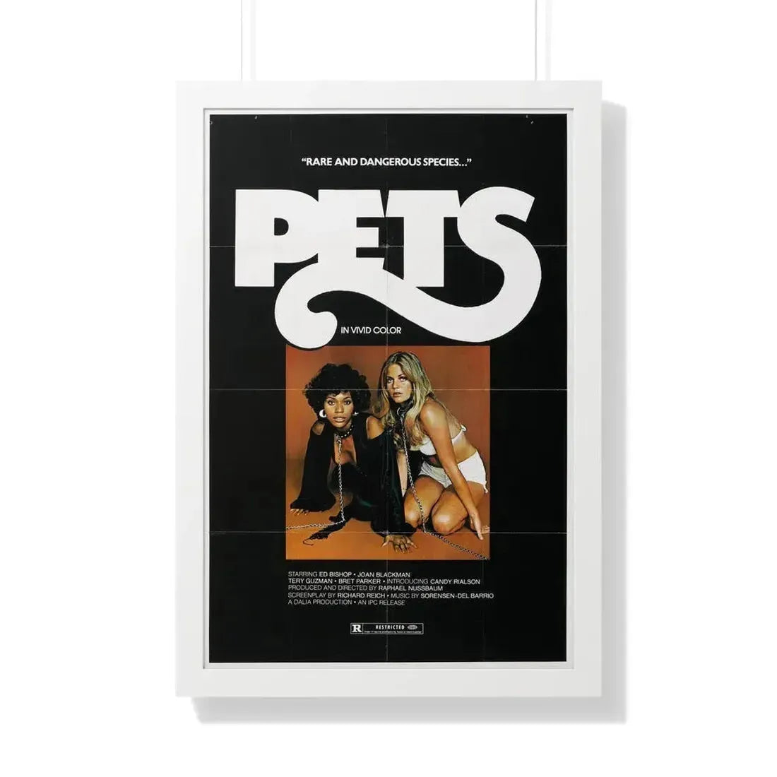 PETS (3) 1974 - Framed Movie Poster 20" x 30" White - The Sticker Space