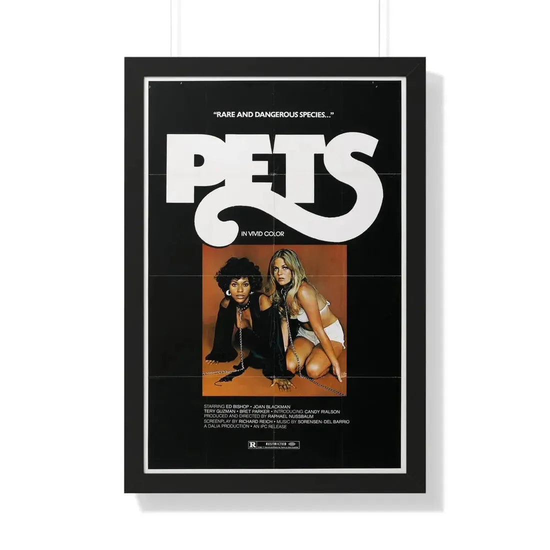 PETS (3) 1974 - Framed Movie Poster - The Sticker Space