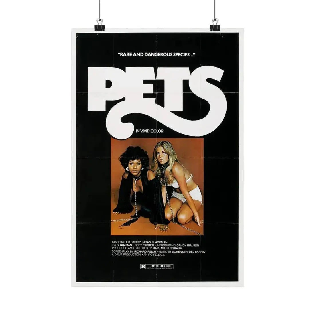 PETS (3) 1974 - Paper Movie Poster 12″ x 18″ Matte - The Sticker Space