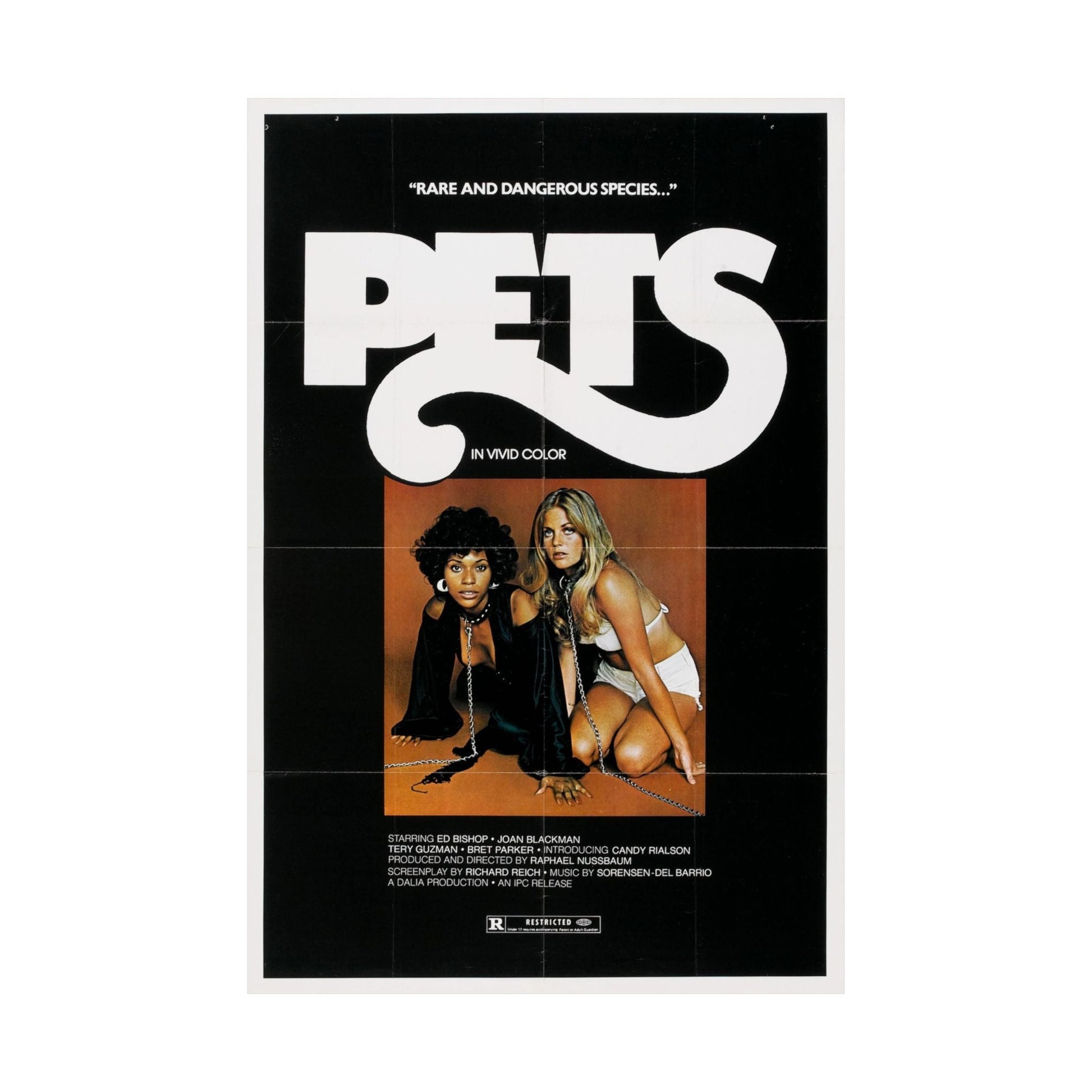 PETS (3) 1974 - Paper Movie Poster-The Sticker Space