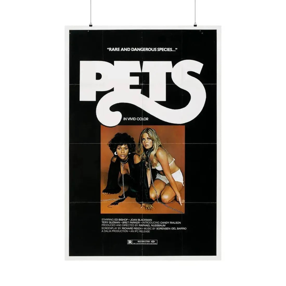 PETS (3) 1974 - Paper Movie Poster 36" x 54" Matte - The Sticker Space
