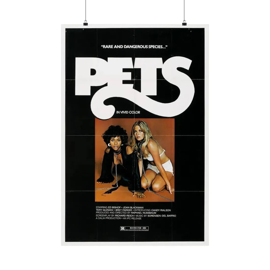 PETS (3) 1974 - Paper Movie Poster - The Sticker Space