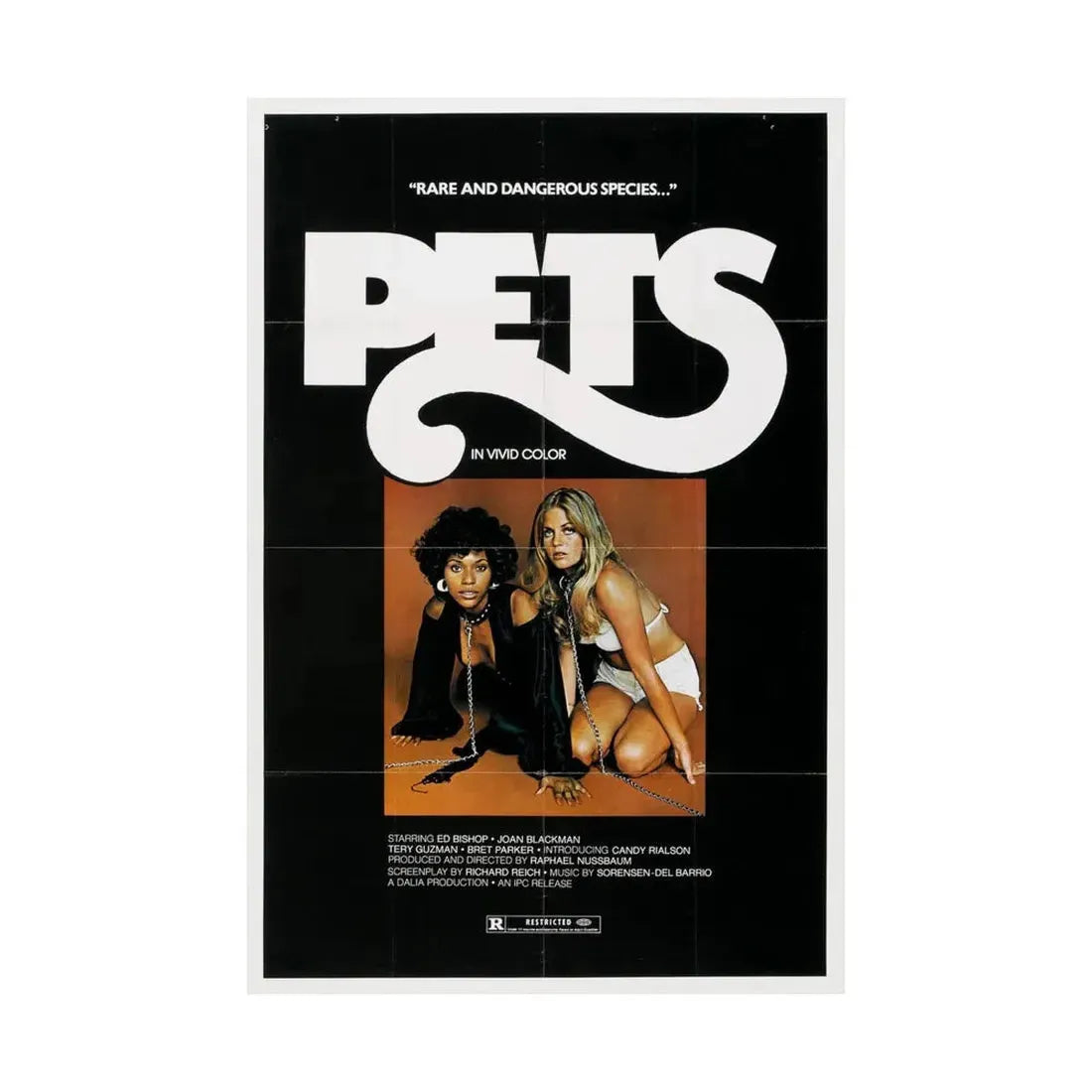 PETS (3) 1974 - Paper Movie Poster - The Sticker Space