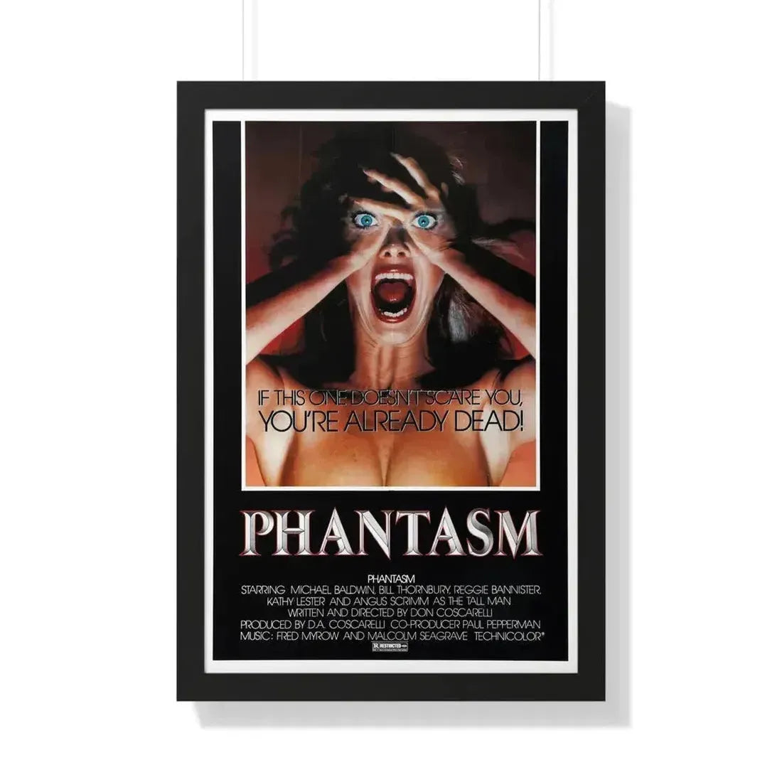 PHANTASM (2) 1979 - Framed Movie Poster 20" x 30" Black - The Sticker Space