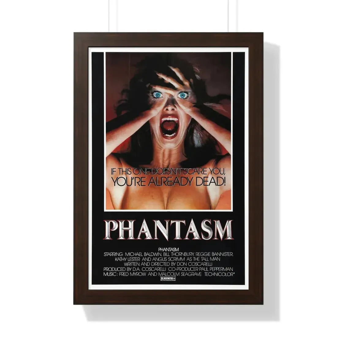 PHANTASM (2) 1979 - Framed Movie Poster - The Sticker Space