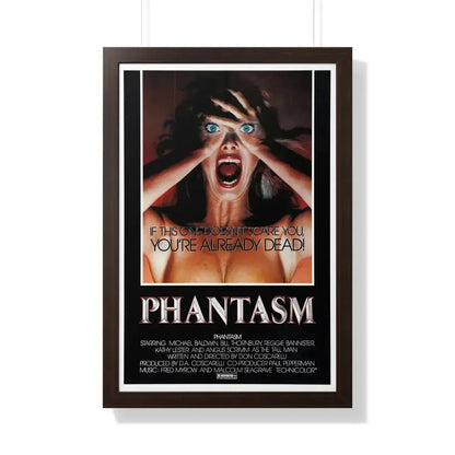 PHANTASM (2) 1979 - Framed Movie Poster - The Sticker Space