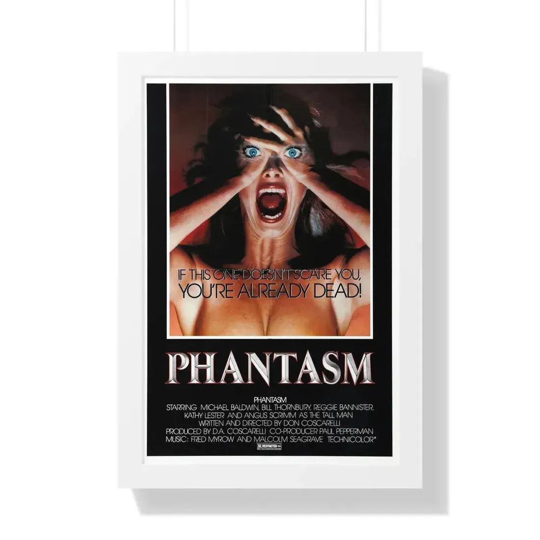 PHANTASM (2) 1979 - Framed Movie Poster - The Sticker Space