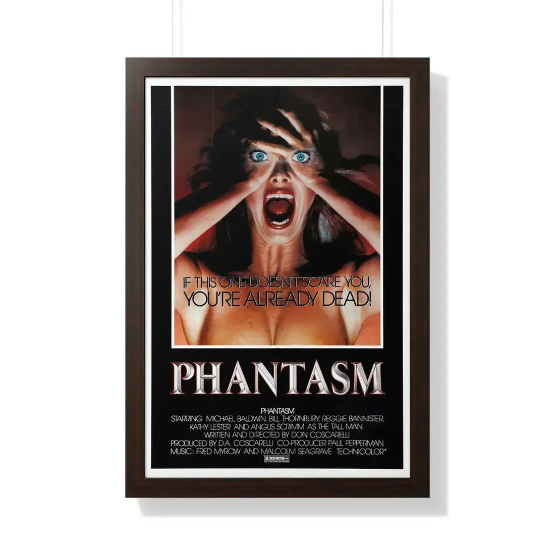 PHANTASM (2) 1979 - Framed Movie Poster - The Sticker Space