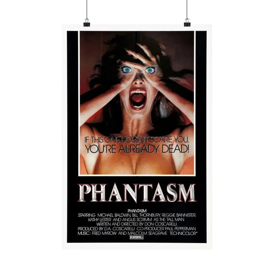 PHANTASM (2) 1979 - Paper Movie Poster - The Sticker Space