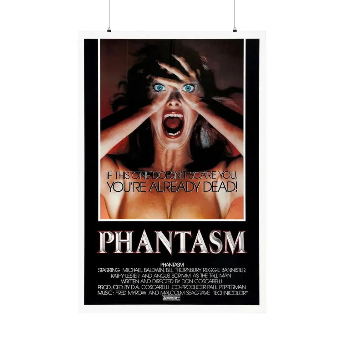 PHANTASM (2) 1979 - Paper Movie Poster - The Sticker Space