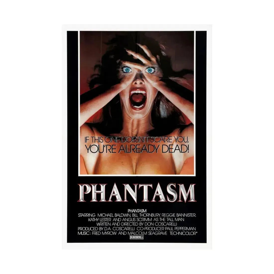 PHANTASM (2) 1979 - Paper Movie Poster - The Sticker Space