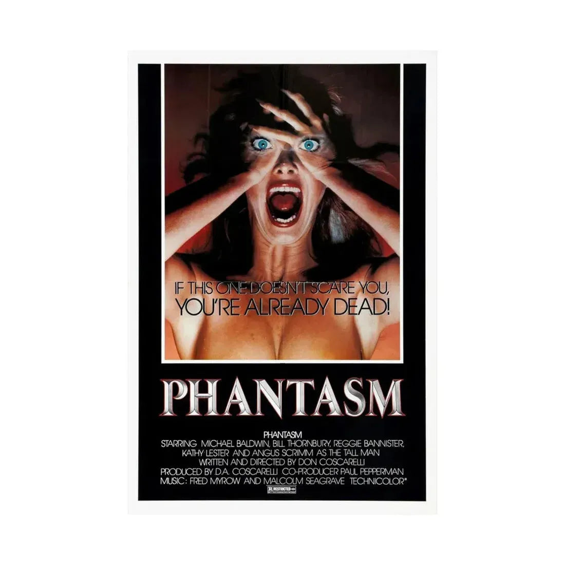 PHANTASM (2) 1979 - Paper Movie Poster - The Sticker Space