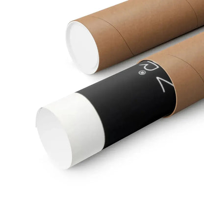 PHANTASM (2) 1979 - Paper Movie Poster - The Sticker Space