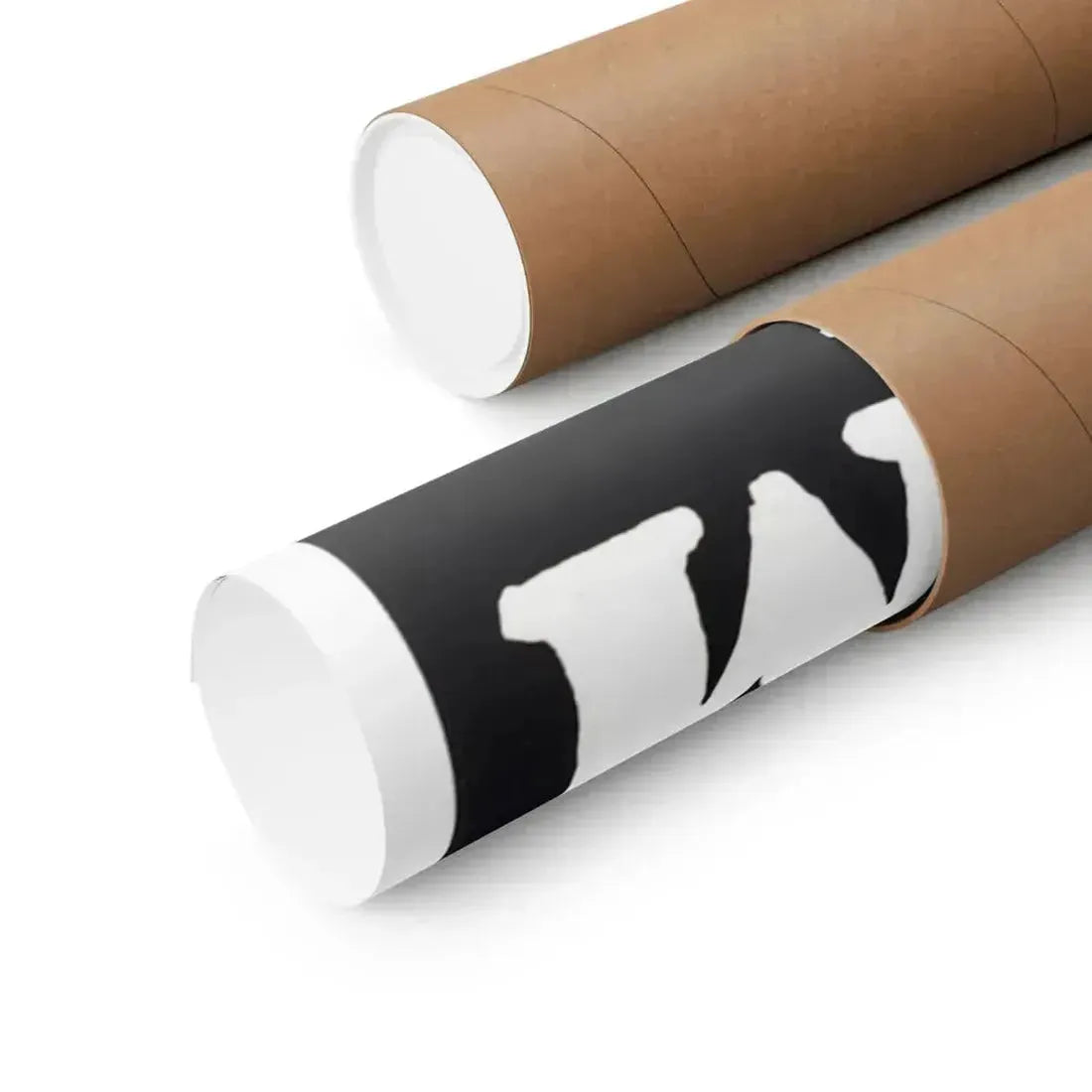 PHANTASM (BELGIAN) 1979 - Paper Movie Poster - The Sticker Space