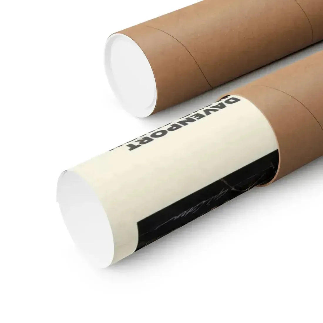 PHASE IV 1974 - Paper Movie Poster - The Sticker Space