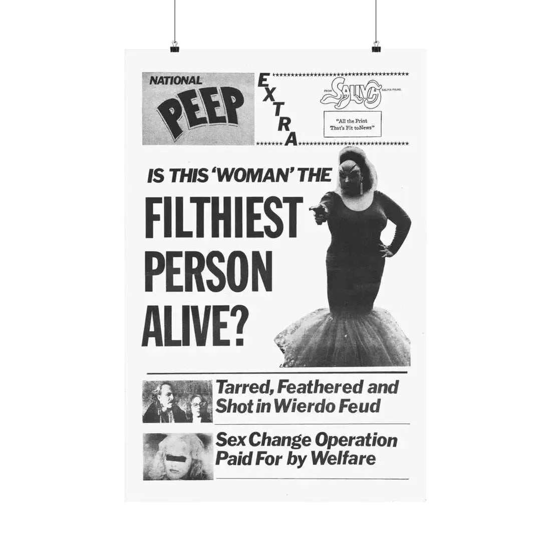 PINK FLAMINGOS (TEASER) 1972 - Paper Movie Poster 24″ x 36″ Matte - The Sticker Space