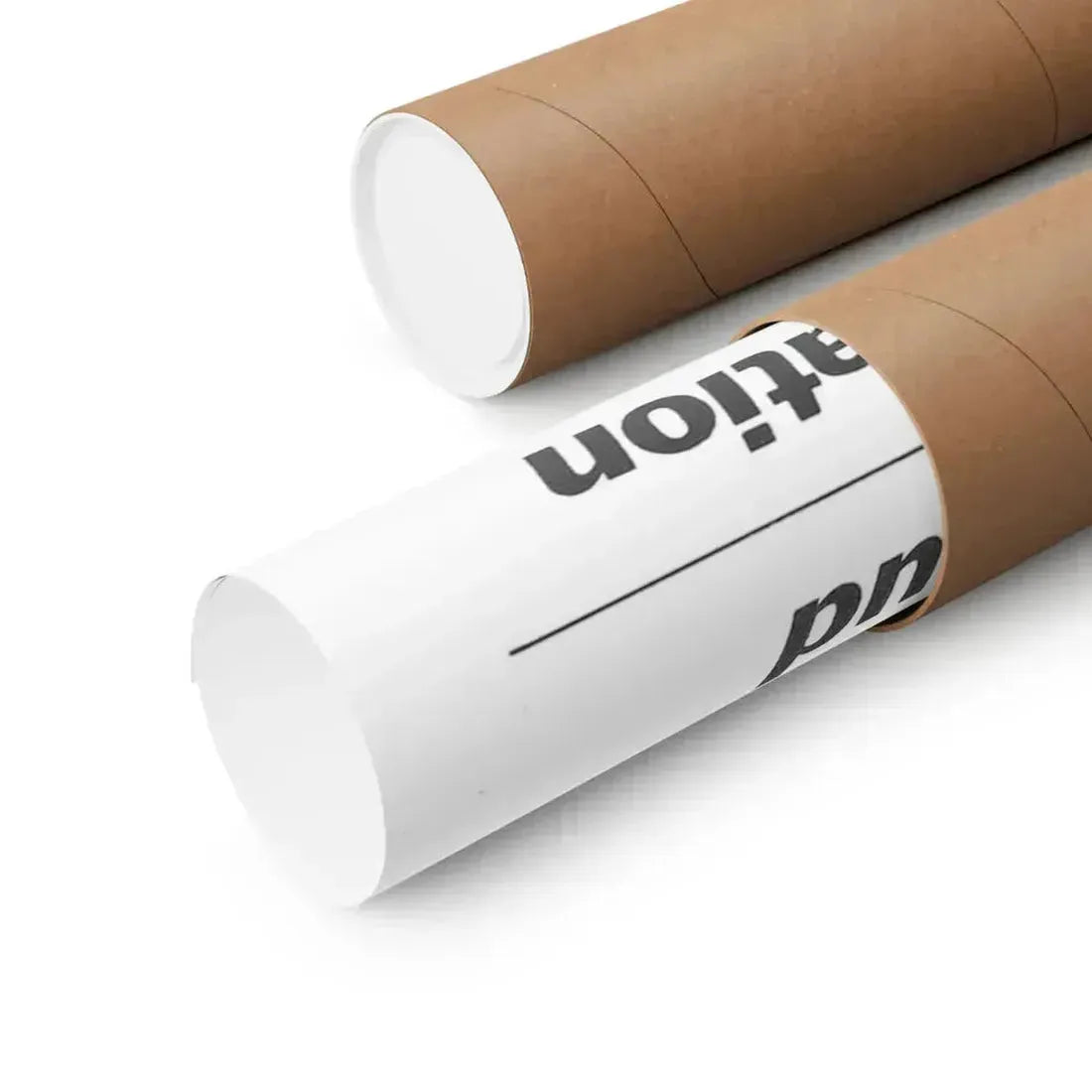 PINK FLAMINGOS (TEASER) 1972 - Paper Movie Poster - The Sticker Space