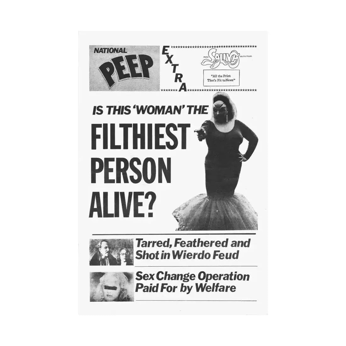 PINK FLAMINGOS (TEASER) 1972 - Paper Movie Poster - The Sticker Space