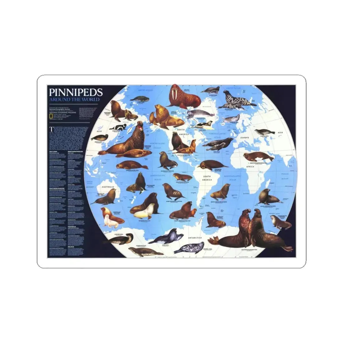 Pinnipeds Around the World (1987) (Map) STICKER Vinyl Kiss-Cut Decal 3 Inch White - The Sticker Space