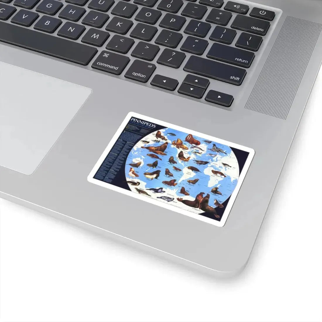 Pinnipeds Around the World (1987) (Map) STICKER Vinyl Kiss-Cut Decal - The Sticker Space