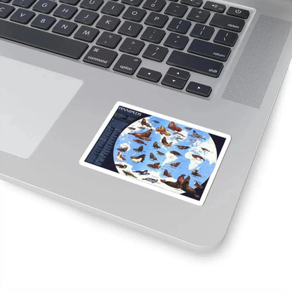 Pinnipeds Around the World (1987) (Map) STICKER Vinyl Kiss-Cut Decal - The Sticker Space