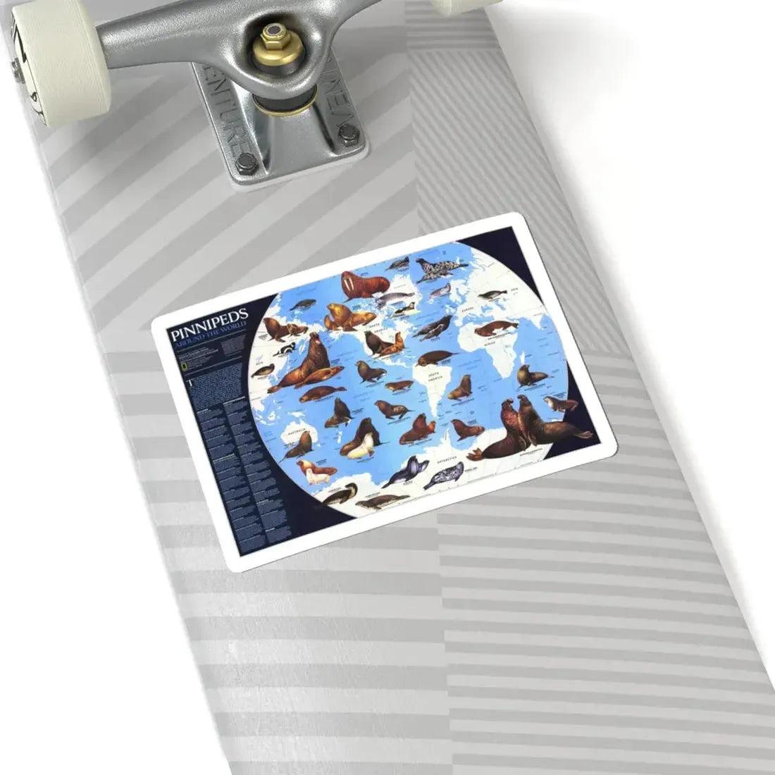 Pinnipeds Around the World (1987) (Map) STICKER Vinyl Kiss-Cut Decal - The Sticker Space