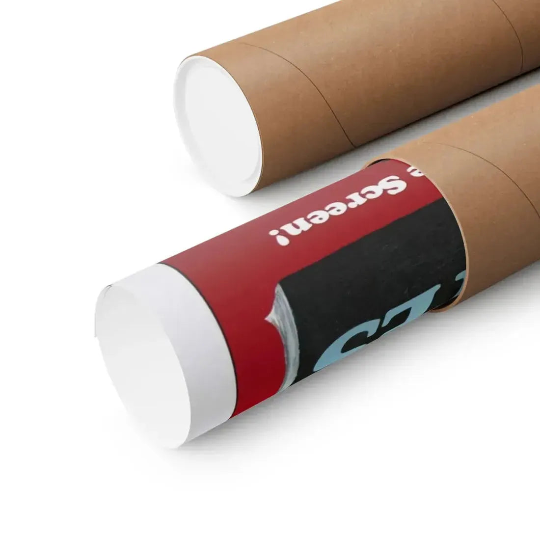 PINUP-PLAYMATES 1972 - Paper Movie Poster - The Sticker Space