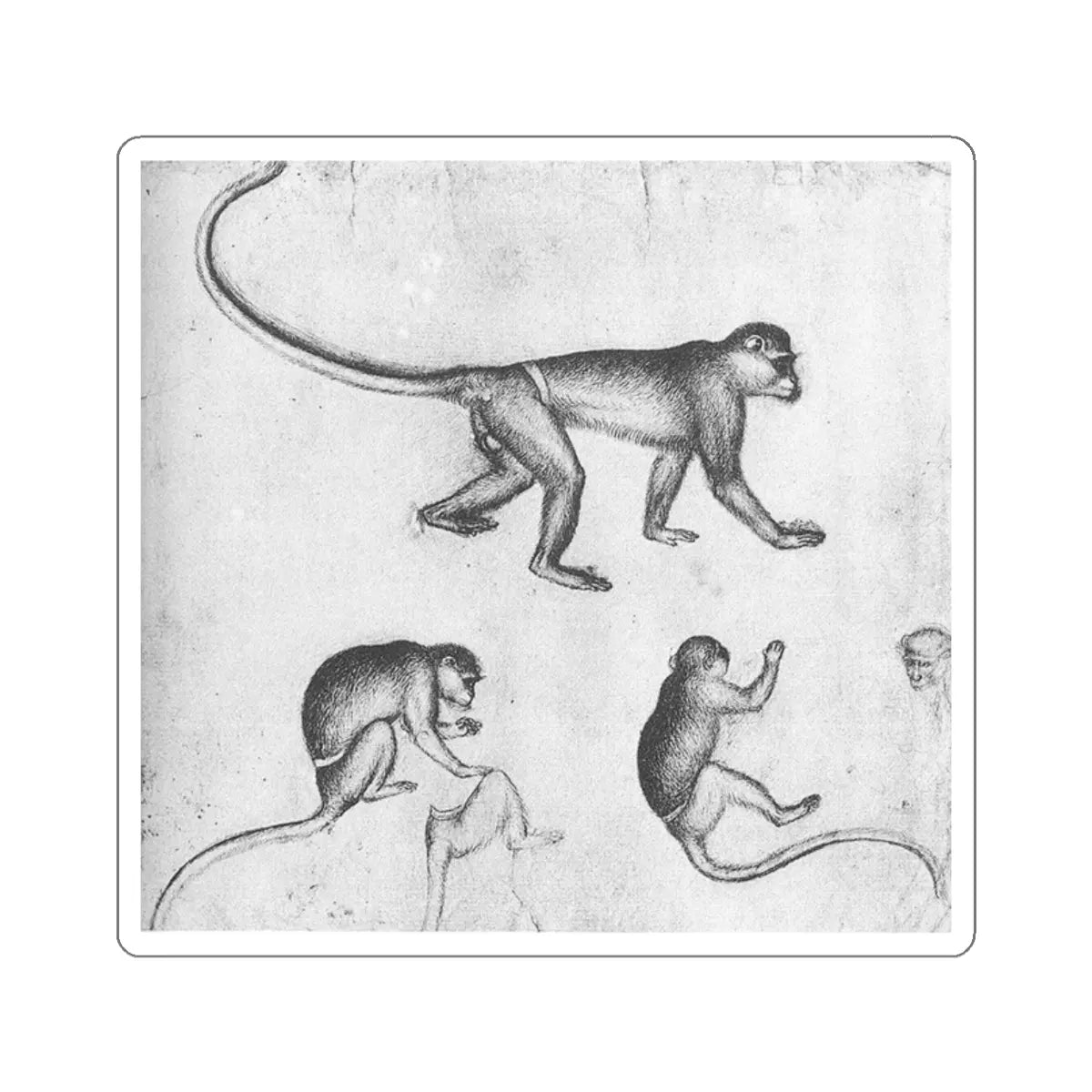 SKU:11867477625687008973 Sticker types:White Shape:Die-Cut Sizes:2" × 2"