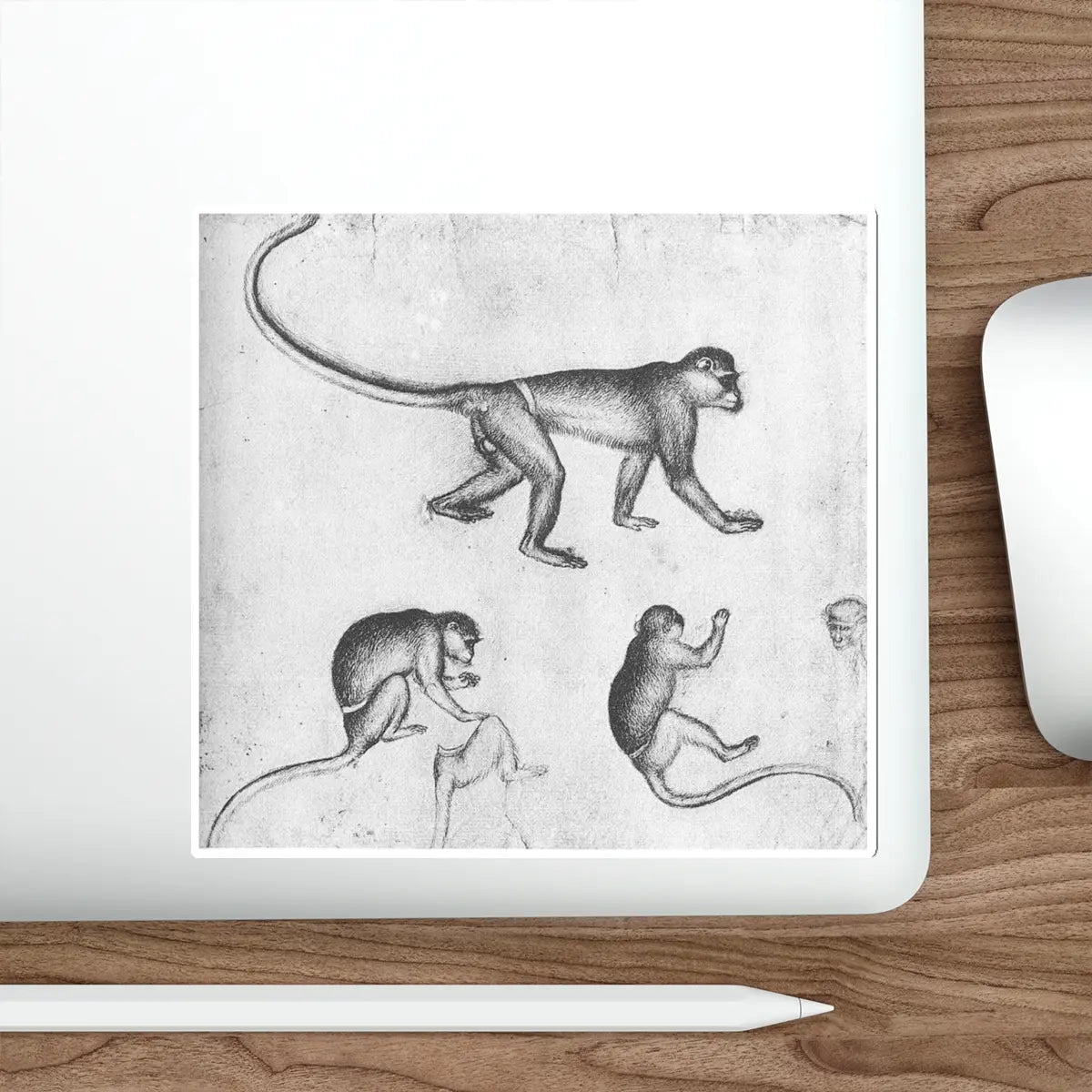 SKU:23710054227516653542 Sticker types:White Shape:Die-Cut Sizes:6" × 6"