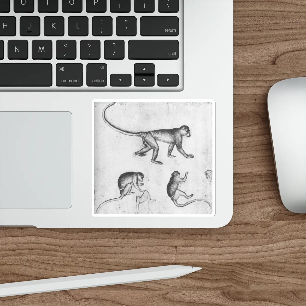 SKU:29433920901114466722 Sticker types:White Shape:Die-Cut Sizes:4" × 4"
