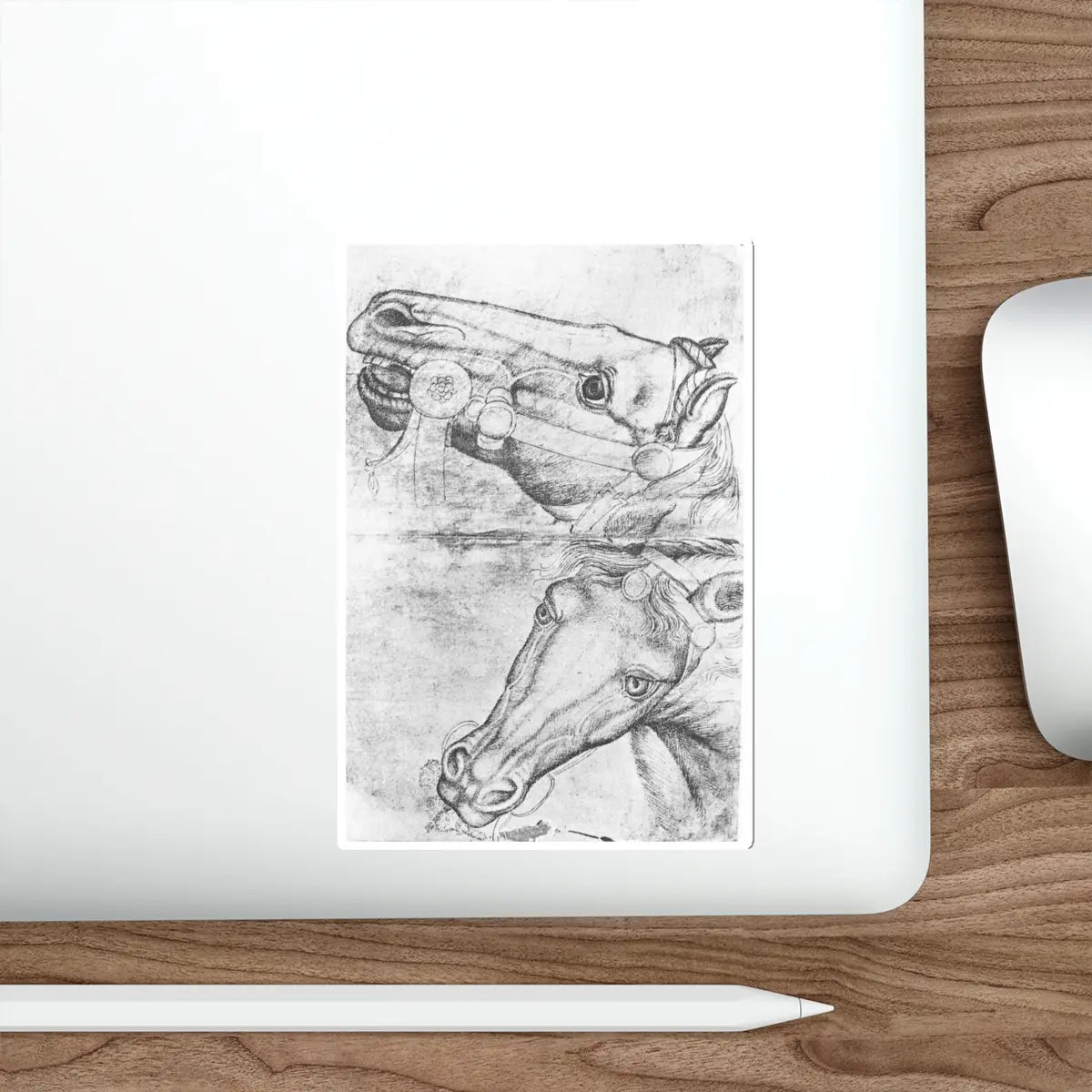SKU:19138783557873874017 Sticker types:White Shape:Die-Cut Sizes:5" × 5"