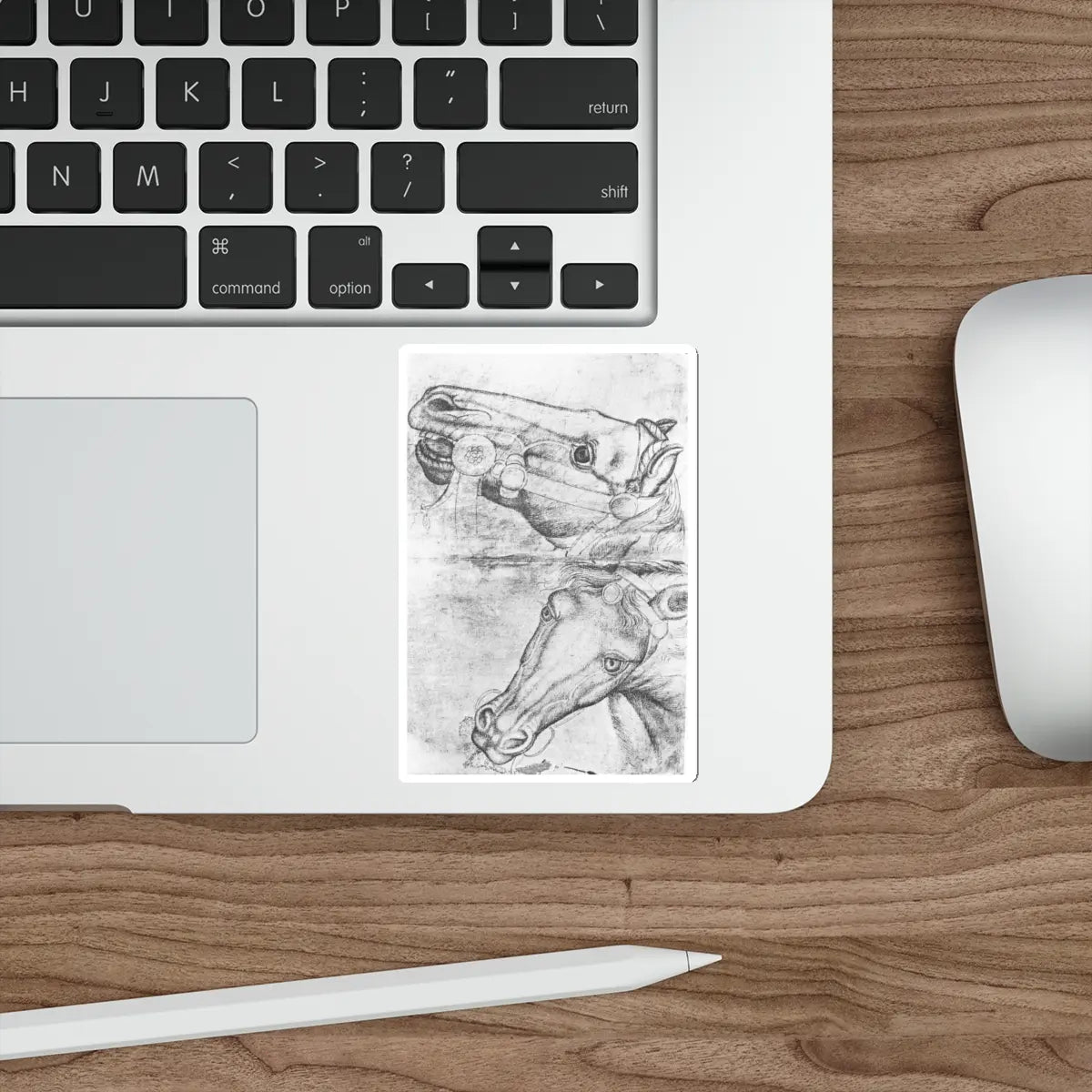 SKU:24360342289405334439 Sticker types:White Shape:Die-Cut Sizes:4" × 4"